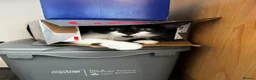 Mixed Breed cats for adoption: Beautiful Black & White Mixed Breed Kittens   in Lichfield - Advert 3