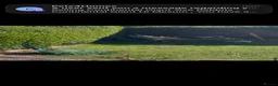 Pheasants poultry for sale: Peacocks for sale  - Advert 7