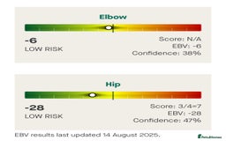 Golden Retriever dogs for stud: EXCEPTIONAL HEALTH 0.7% COI - Advert 2