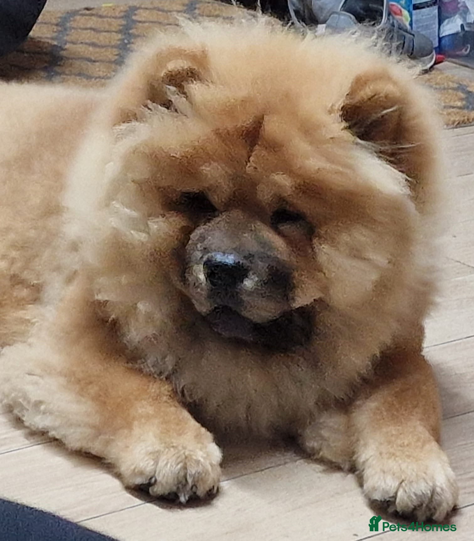 Max