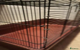 Hamster rodents for sale: Alaska hamster cage  - Image 4