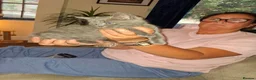 Mixed Breed cats for sale: Male boy grey short haired mixed 10 weeks old  - Advert 4
