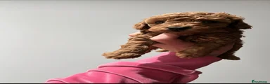 Cockapoo 2