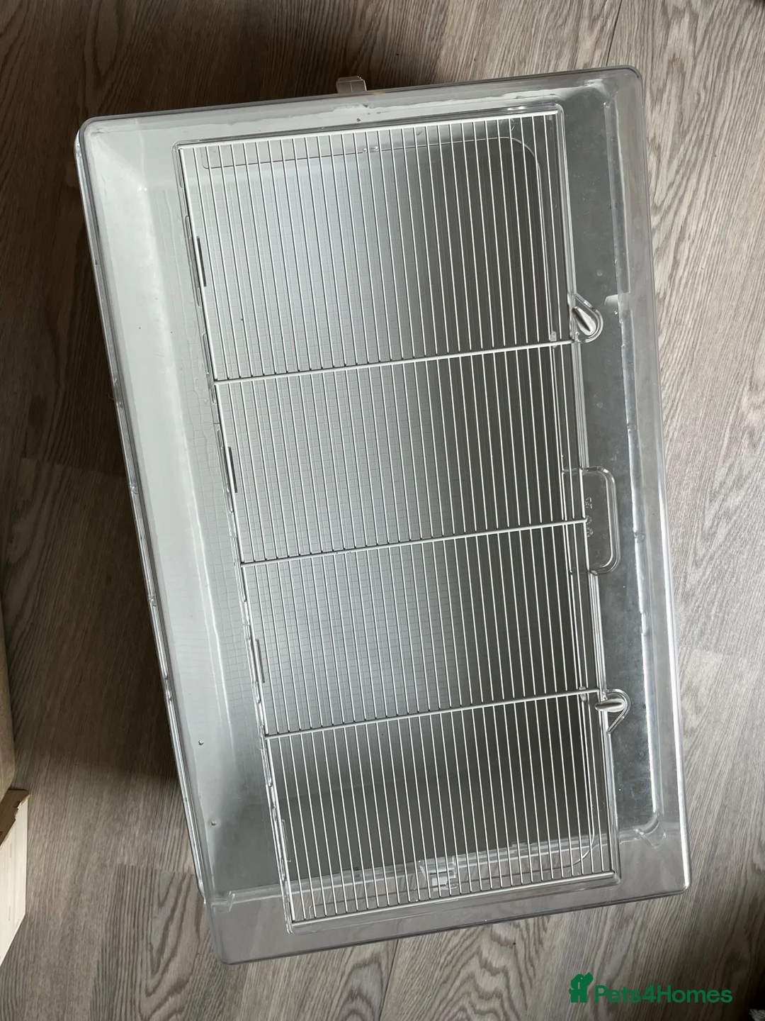 Hamster rodents for sale: Cage for hamster with accessories and bedding  - Advert 3