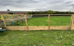Chickens poultry for sale: Chicken Coops - excellent quality - British Made - Image 18