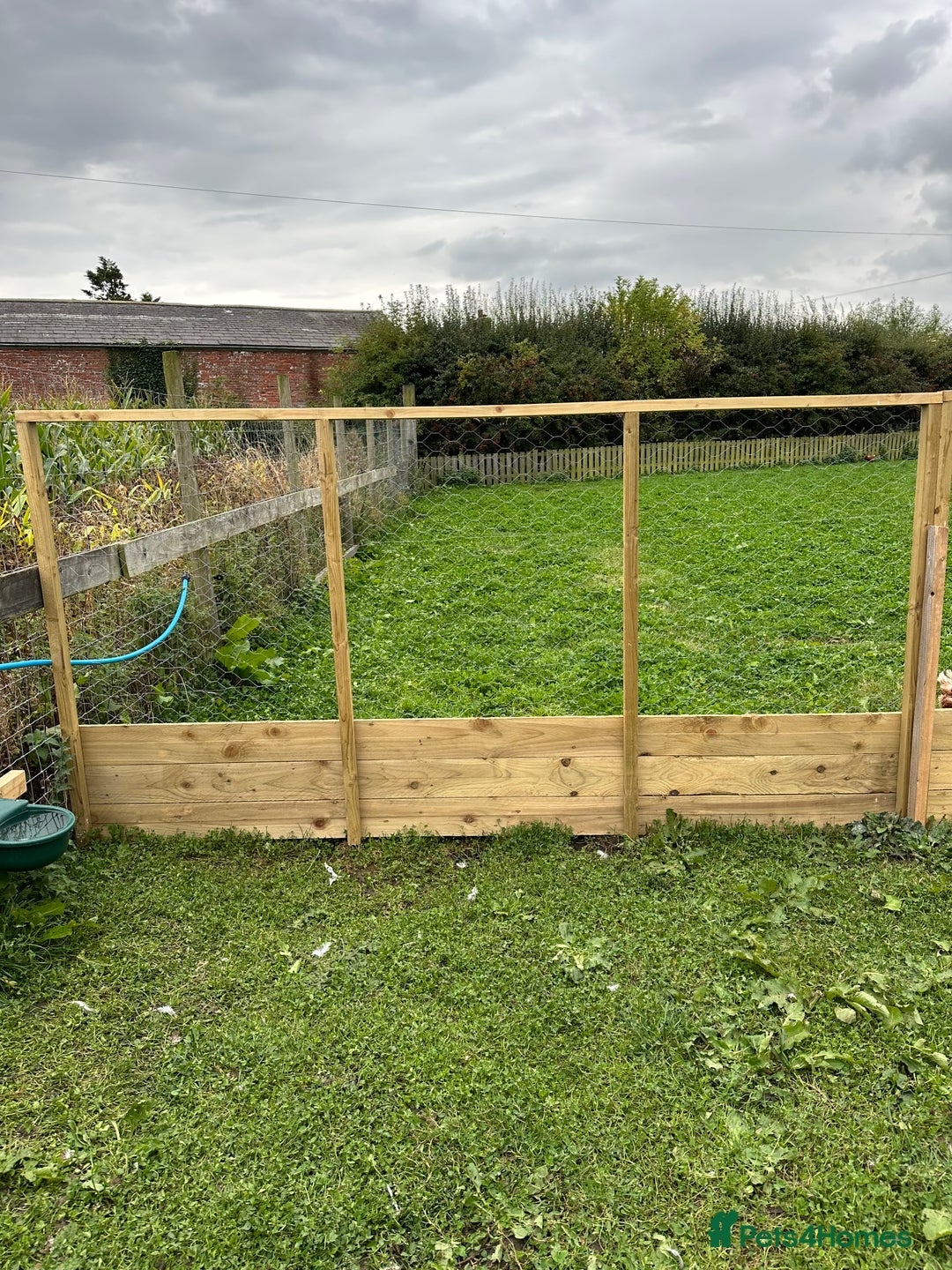 Chickens poultry for sale: Chicken Coops - excellent quality - British Made - Image 18