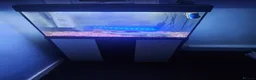 Catfish fish for sale: Tropical fish tank for sale  - Advert 1