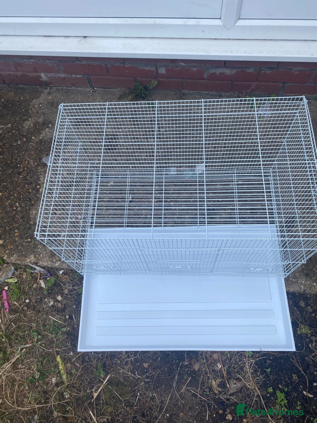 Mixed Breed birds for sale: Cage for sale ideal for small birds - Advert 2