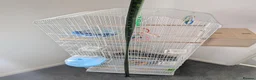 Mixed Breed birds for sale: Bird cage for sale. XXL BRAND NEW accessories Inc. in Dartford - Advert 11