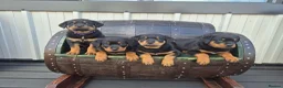 Rottweiler dogs for sale: Rottweiler girl looking for her sofa!!+  - Advert 7