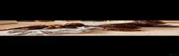 Australian Labradoodle dogs for sale: Multigenerational Australian Labradoodle puppies  - Advert 2