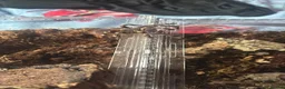 Mixed Breed reptiles for sale: Animal collection  - Advert 5