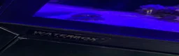 Shrimps fish for sale: Saltwater Marine Fish, complete set up - Advert 12