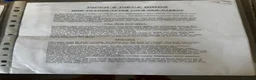 Parrots birds for sale: African grey parrot  - Advert 7