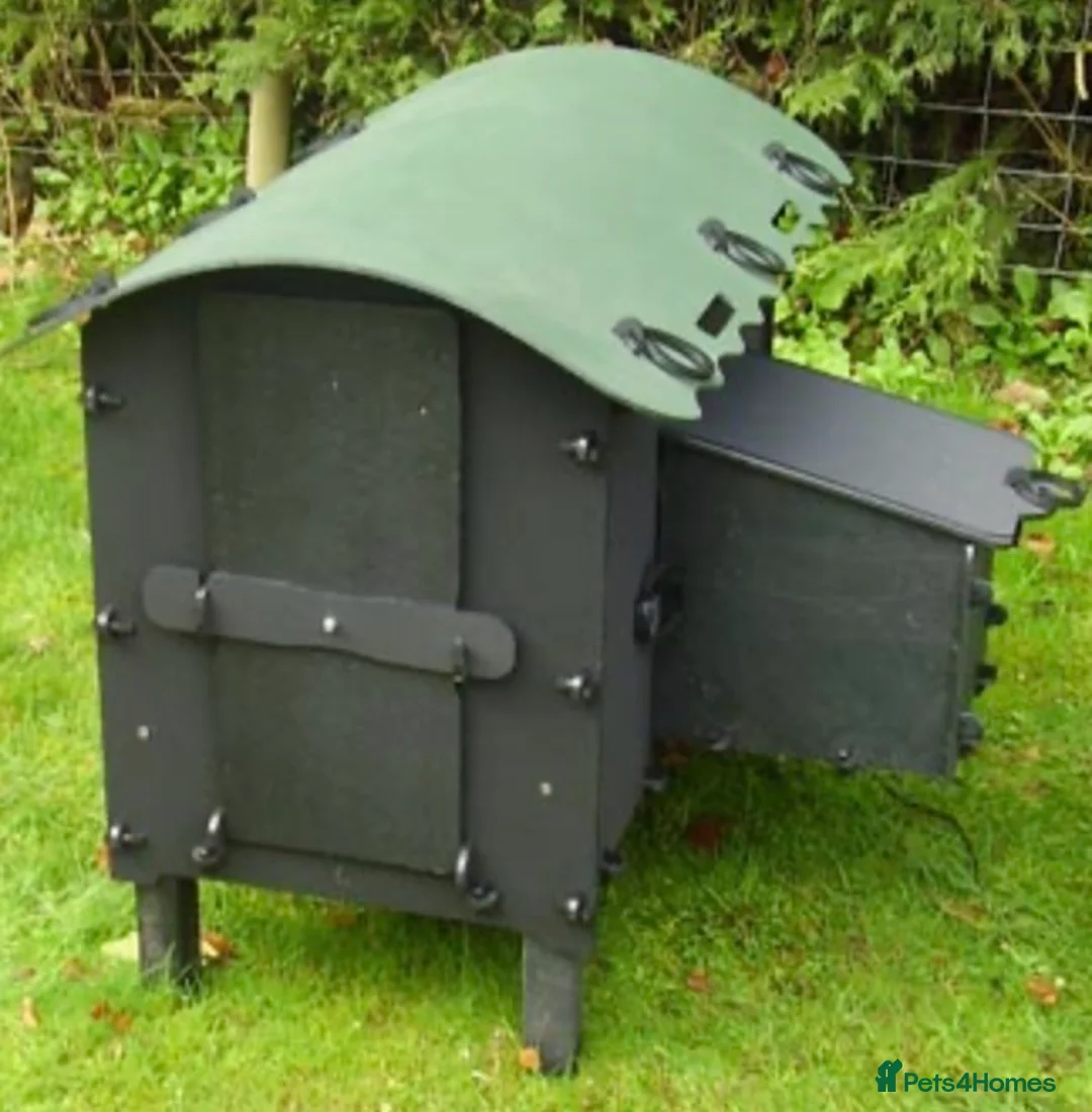 Mixed Breed poultry for sale: Eco Hen Loft - Recycled - 3/4 Hens - Advert 2