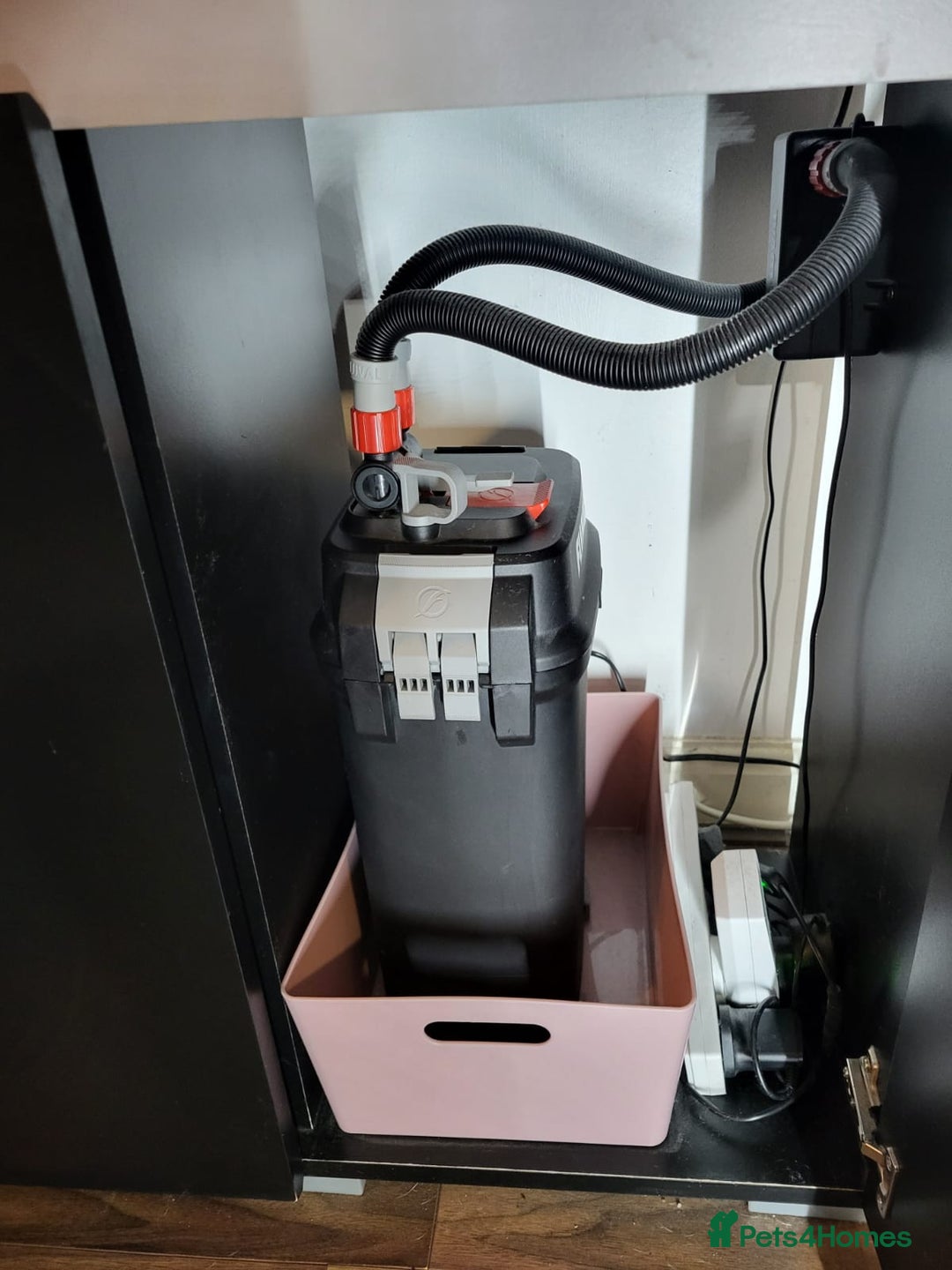 Other/Mixed Breed fish for sale: 182 litre aqua one full set up  - Advert 8