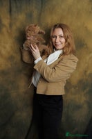 British Shorthair cats - Advert 4