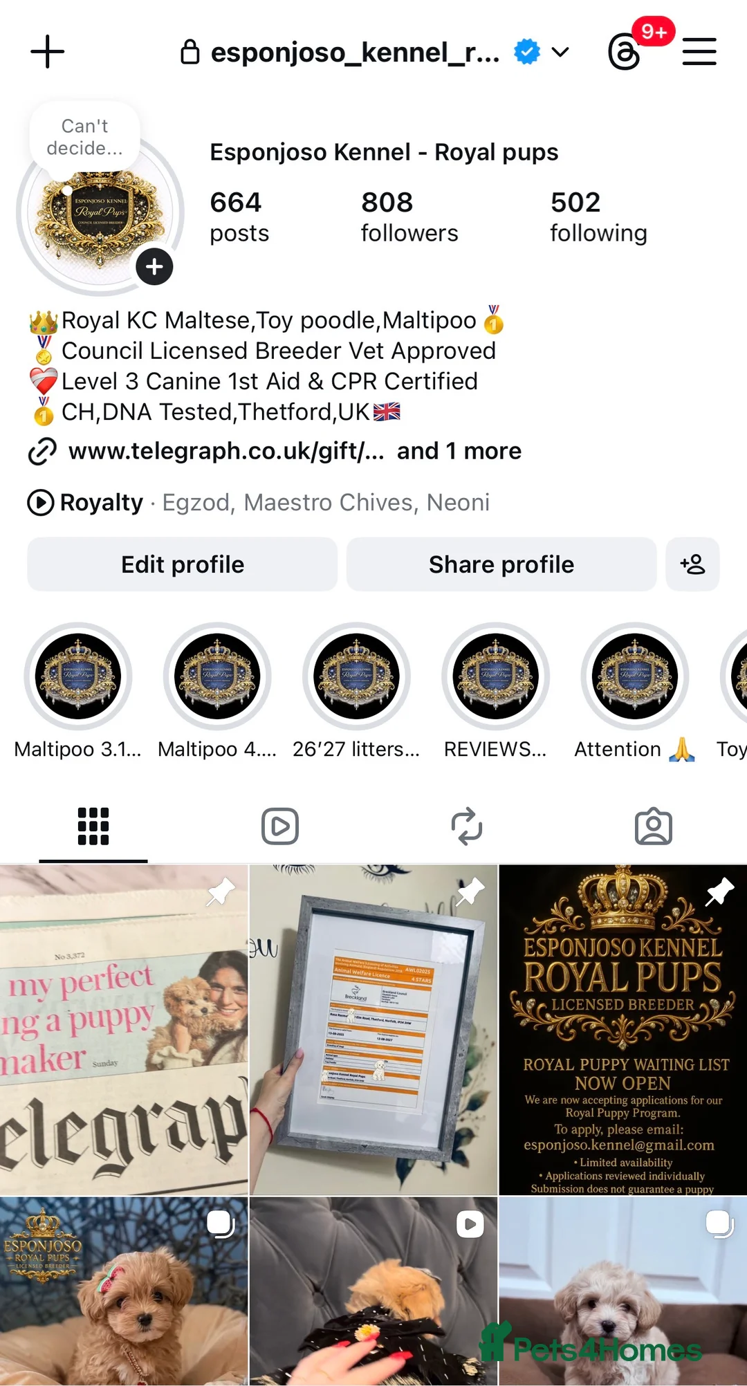 Maltipoo dogs for sale: ✨👑READY 🏡 One in a Million F1 Asian Maltipoo👑✨ - Advert 2