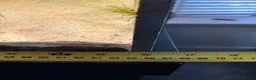 Angelfish fish for sale: Aquarium full set  - Advert 6