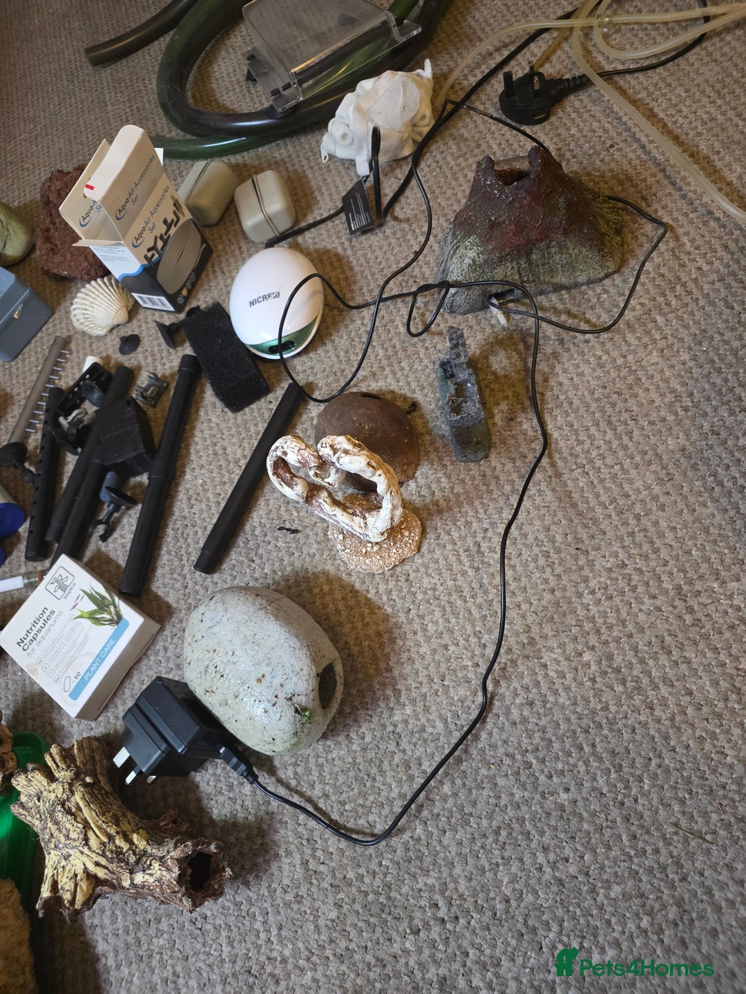 Shrimps fish for sale: Fishtank+accesories in Huntingdon - Advert 14