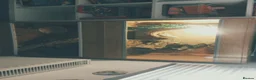 Bearded Dragon reptiles for sale: Lucifer  - Advert 4