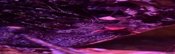Frog reptiles for sale: Dart frogs and tank in Rugby - Advert 3