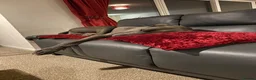 Great Dane dogs for sale: Great Dane Looking For Loving New Home - Advert 9