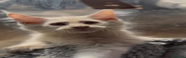 Cream 
