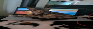 Tiger ( feel free to rename)