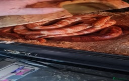 Corn Snake reptiles for sale: X2 Corn Snakes - Free to good home  - Image 1