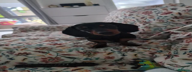 Dulce