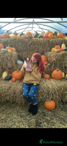 Gallery Image {{count}}