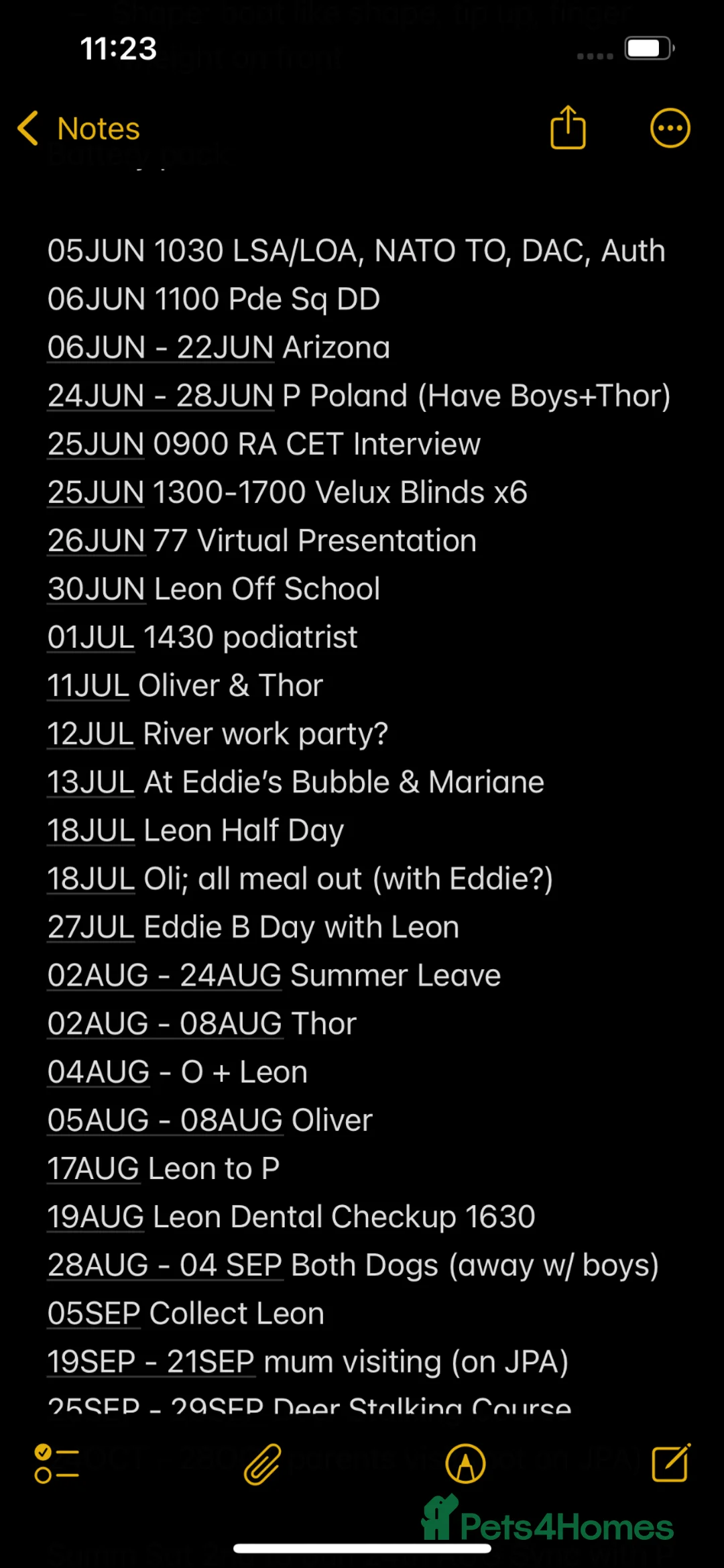 German Shepherd dogs for sale: Alpha - Advert 2