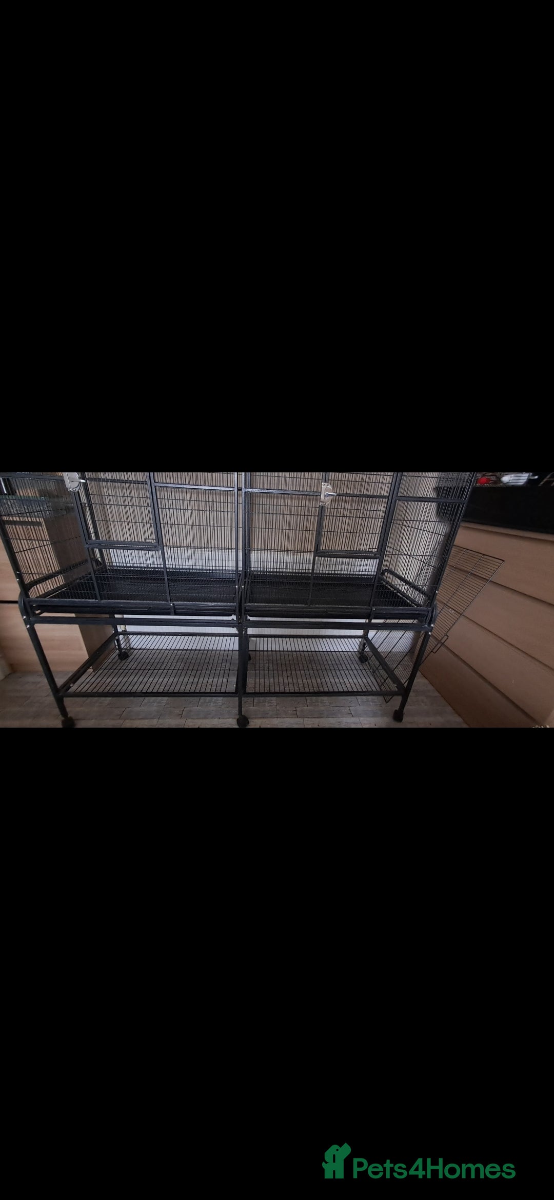 Mixed Breed birds for sale: Large bird cage - Advert 1