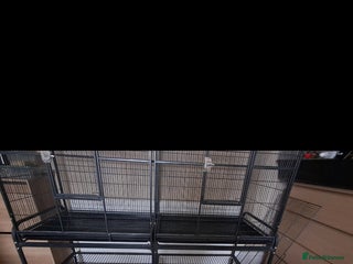 Mixed Breed birds Large bird cage - Advert 6