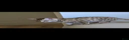 Bengal cats for sale: Tica registered brown bengal girl  - Advert 5