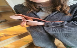 Corn Snake reptiles for sale: 2 corn snakes and vivaruims, complete set up. - Image 7