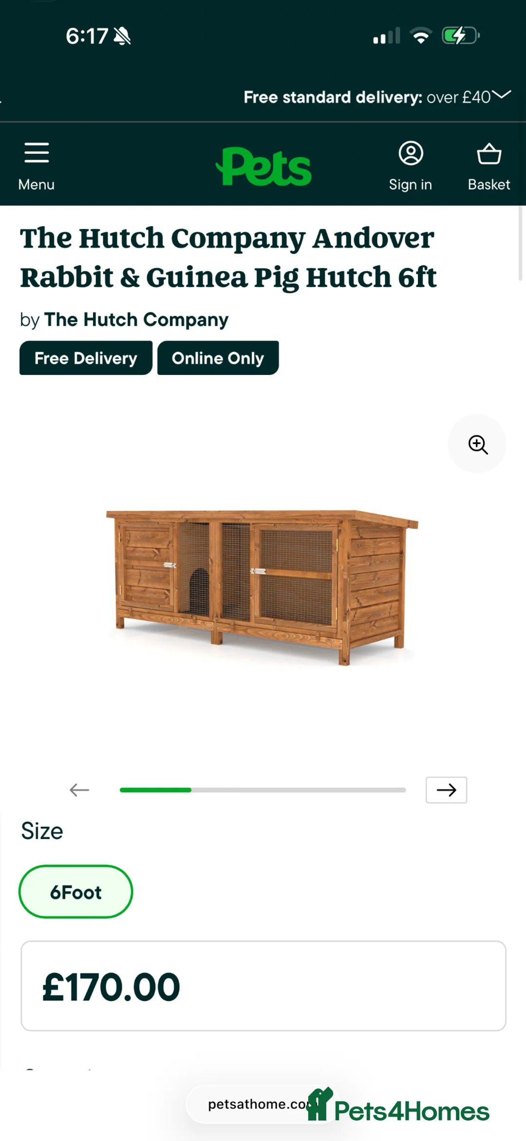 Guinea Pig rodents for sale: F GP’s + Cage & Large Hutch in Colchester - Advert 3