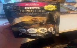 Gecko reptiles for sale: Crested gecko for sale  - Image 3