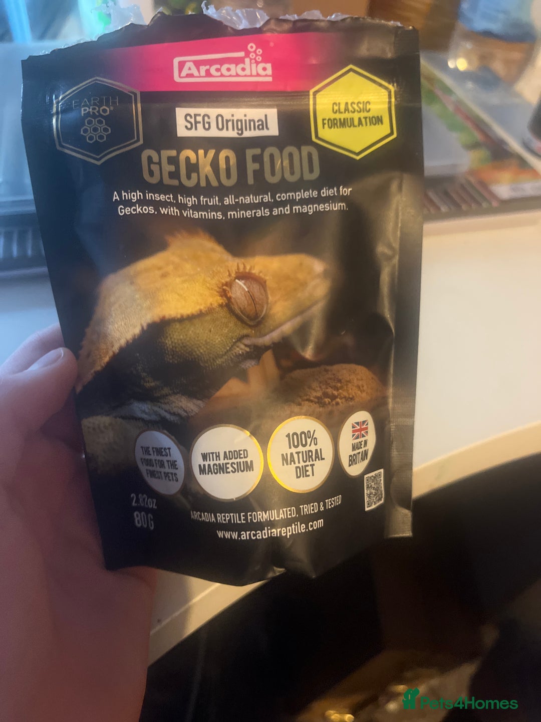Gecko reptiles for sale: Crested gecko for sale  - Image 3