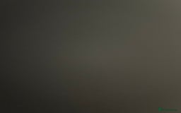 British Shorthair cats for sale: 2 beautiful kittens free to a good home  - Image 6