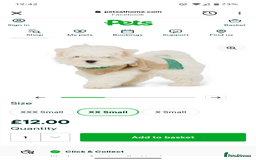 Maltese dogs for sale: Gorgeous KC pedigree Maltese puppy reduced price - Image 23