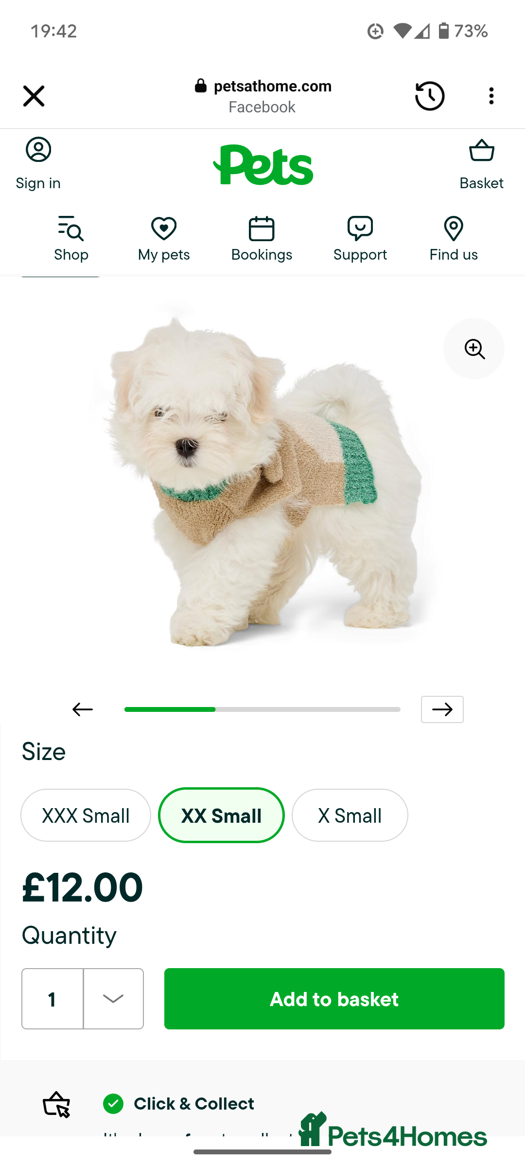 Maltese dogs for sale: Gorgeous KC pedigree Maltese puppy reduced price - Image 23