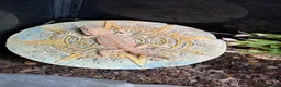 Bearded Dragon reptiles for sale: Baby dragons and other reptile for rehome  - Advert 25