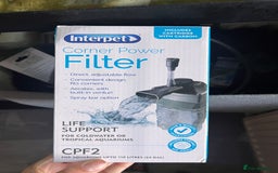 Terrapin reptiles for sale: Skittz the musk terrapin and set up for sale  - Image 3