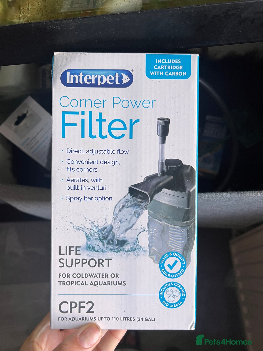 Terrapin reptiles for sale: Skittz the musk terrapin and set up for sale  - Image 3