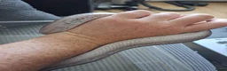 Corn Snake reptiles for sale: Various corn snakes for sale, Snow Tessera & more - Advert 17
