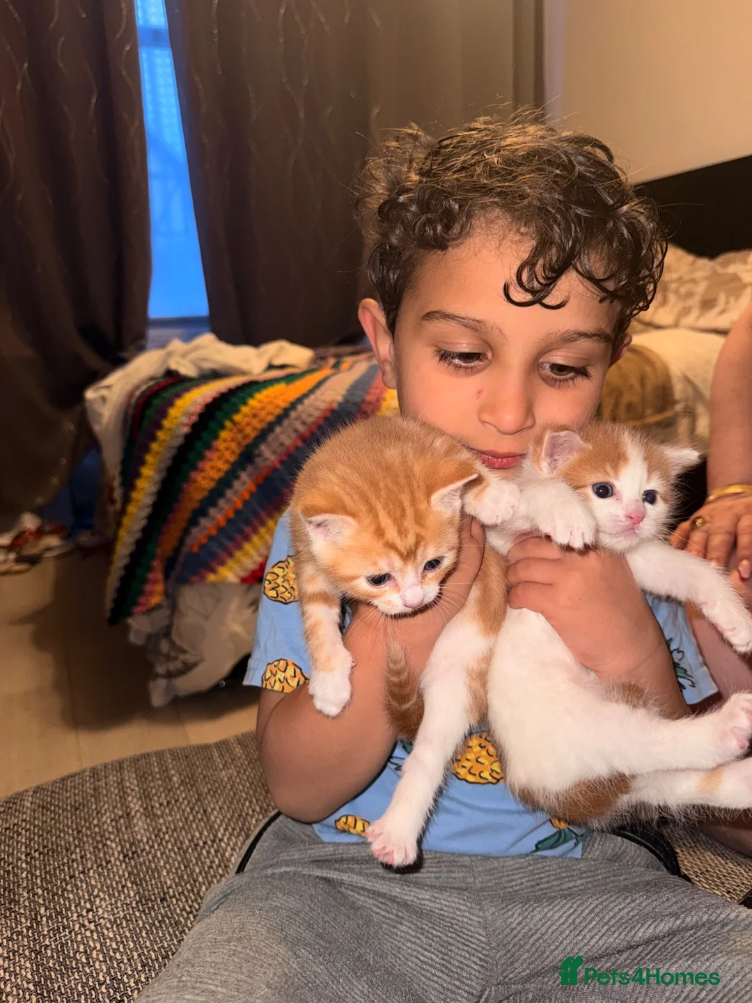 Mixed Breed cats for sale: Coniston Rd N17 0EX - Advert 1