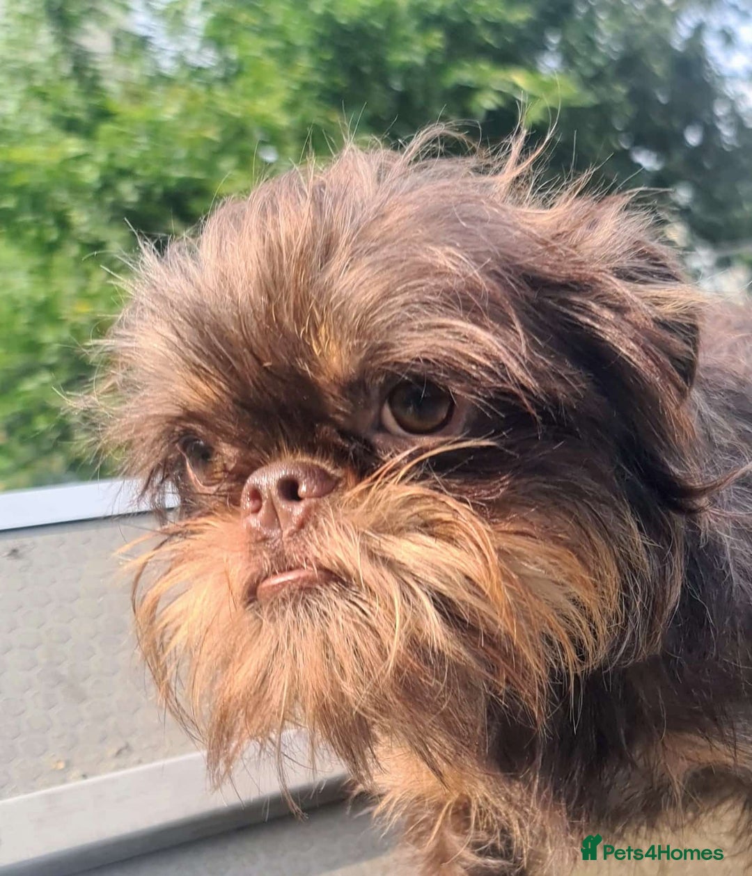 Gallery Image {{count}}