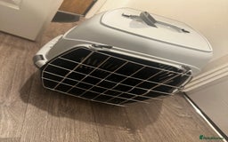 Mixed Breed cats for sale: Female Cat with everything she needs 🤍 - Advert 8